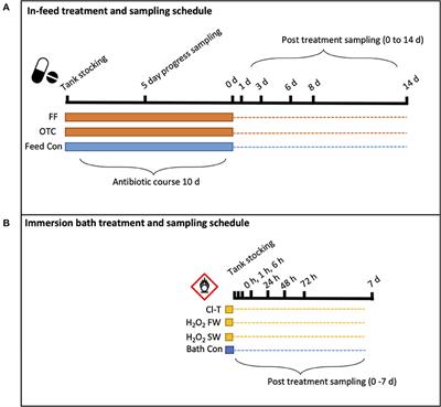Profiling Branchial Bacteria of Atlantic Salmon (Salmo salar L.) Following Exposure to Antimicrobial Agents